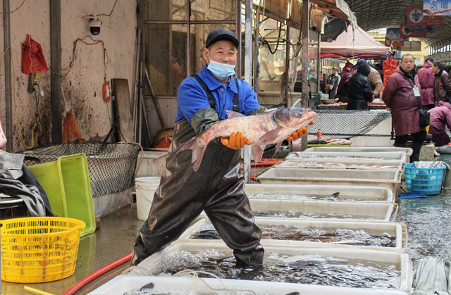 熱鬧大集藏年味 尋常煙火最暖心