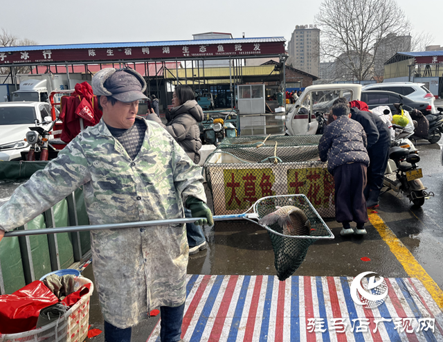 駐馬店：年貨采購迎高峰 魚躍人歡年味濃