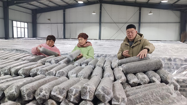 確山縣任店鎮(zhèn)入選省級(jí)農(nóng)業(yè)產(chǎn)業(yè)強(qiáng)鎮(zhèn) 小菌棒種出致富大產(chǎn)業(yè)