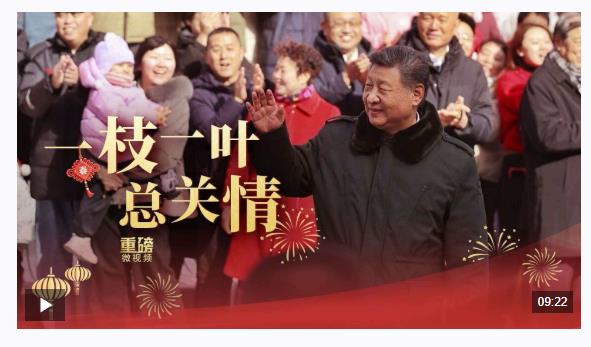 重磅微視頻丨一枝一葉總關(guān)情