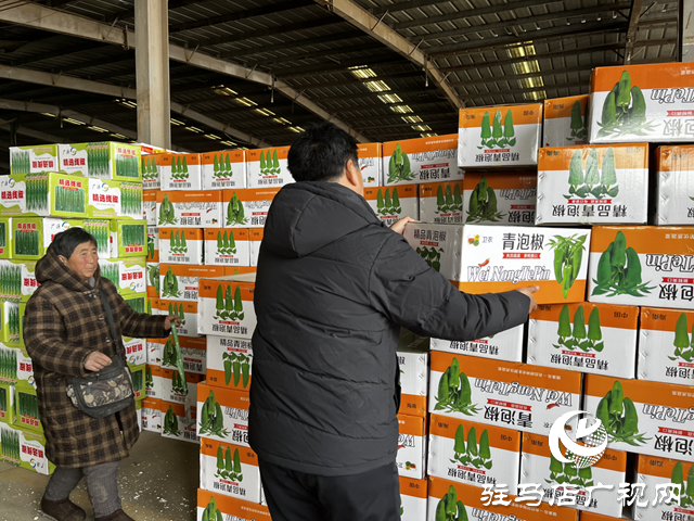 【春節(jié)我在崗】小小菜攤不打烊 守護市民&ldquo;菜籃子&rdquo;