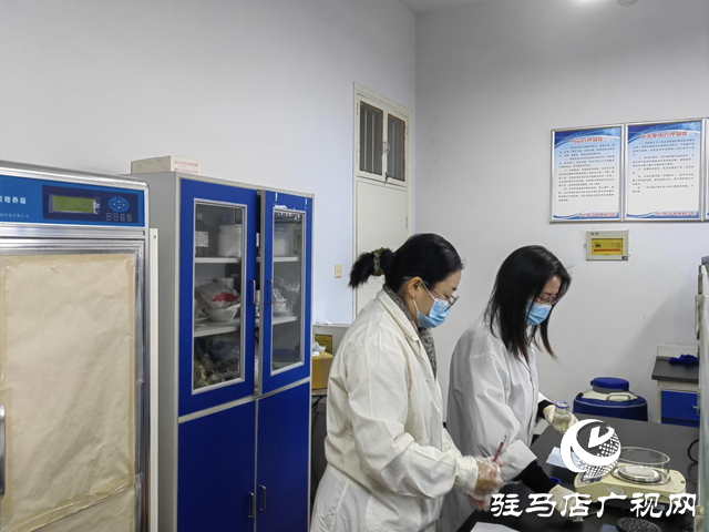 2026年春節(jié)海采：新年新氣象 新年新愿望