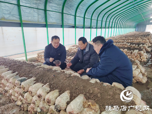 奮楫揚(yáng)帆啟新程 凝心聚力向未來&mdash;&mdash;2026年新年愿景