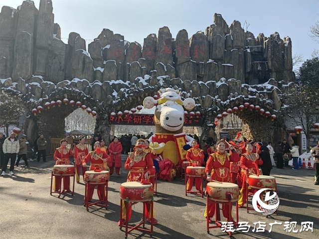 駐馬店金頂山景區(qū)：民俗文化節(jié)啟幕 紅火場面盡顯新春盛宴