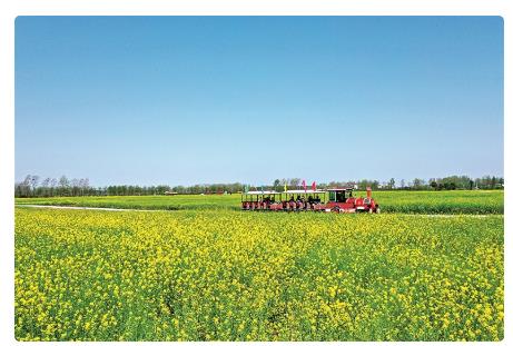 河南省信陽(yáng)市平橋區(qū)明港鎮(zhèn)新集村:文旅賦能開出“致富花”