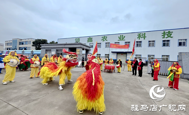 遂平縣沈寨鎮(zhèn)小寨村：銅器歡歌慶新春 愛(ài)心基金暖人心