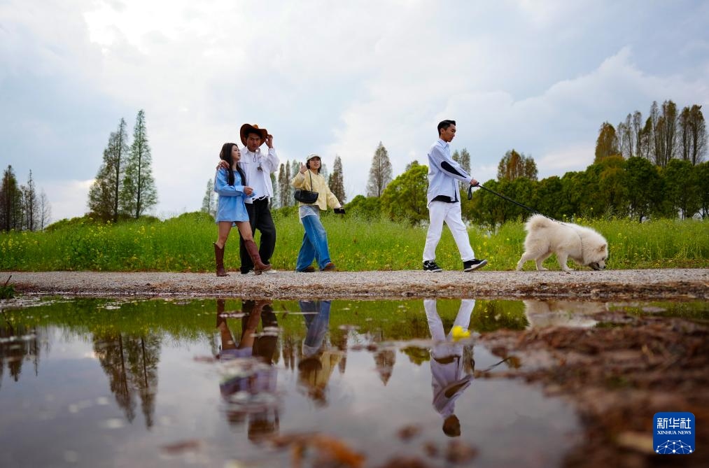 春日滇池引客來