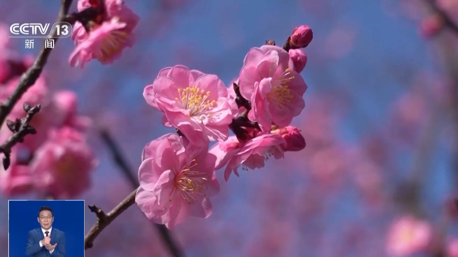 “馬年無(wú)春不宜結(jié)婚”是真的嗎？天文專(zhuān)家揭秘