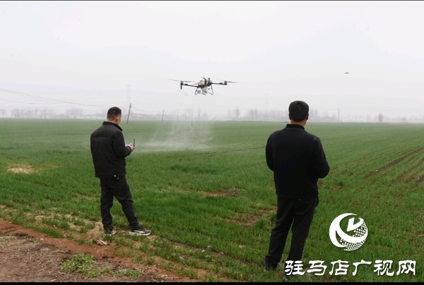 平輿縣：搶抓農(nóng)時(shí)促春管 科學(xué)管理促豐收