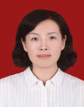 王玲任駐馬店市人民政府市長職務(wù)