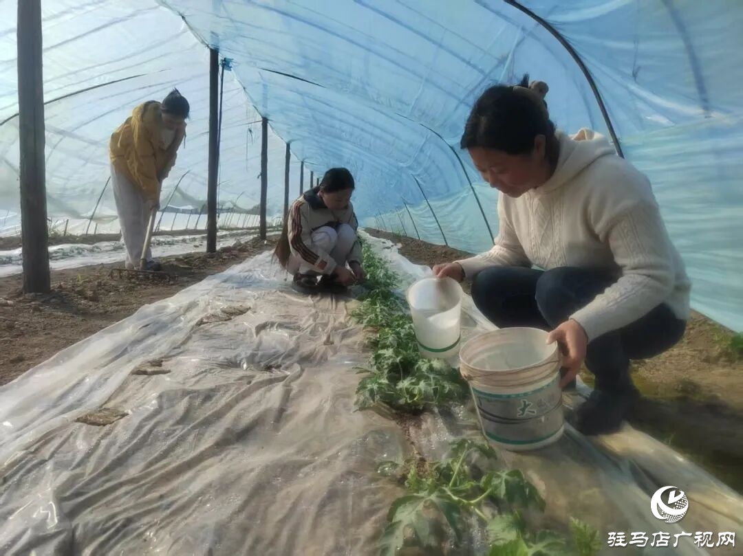 正陽縣：企業(yè)復(fù)工復(fù)產(chǎn)忙 開足馬力“搶春光”