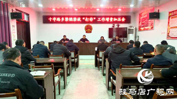 平輿縣十字路鄉(xiāng)：開(kāi)展禁燃禁放“打非”行動(dòng)