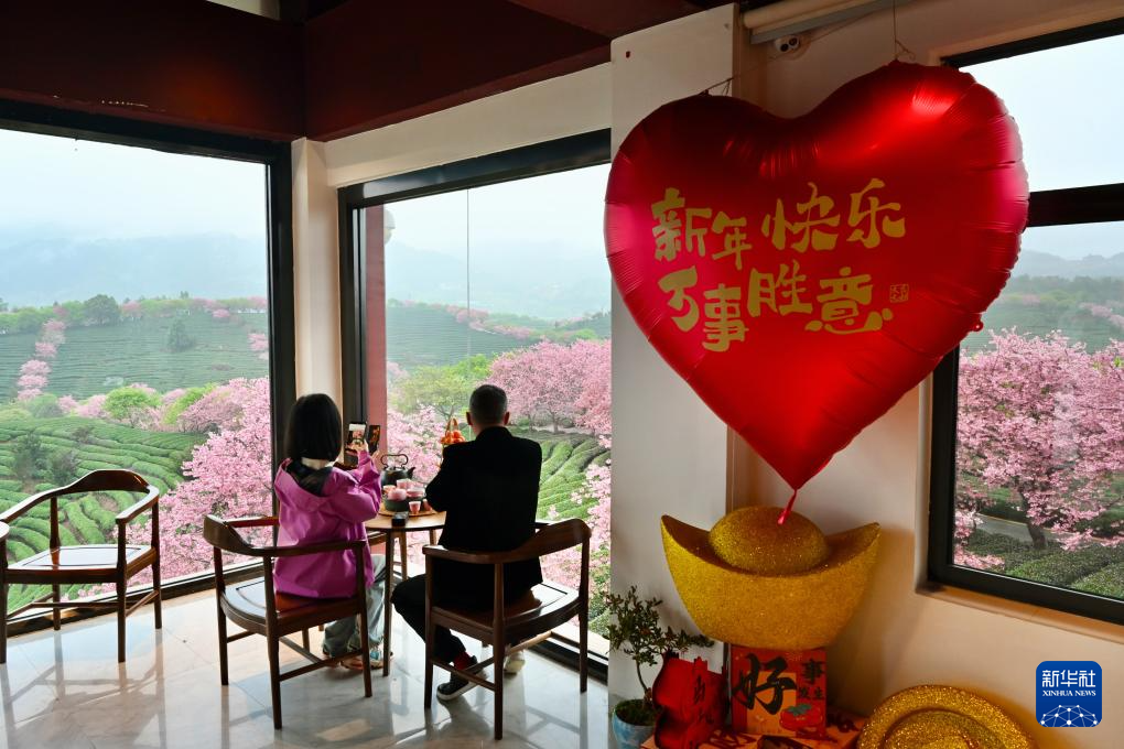 櫻花綻放激活“春日經(jīng)濟”