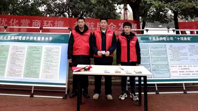  國(guó)網(wǎng)平輿縣供電公司：開展優(yōu)化營(yíng)商環(huán)境集中宣傳活動(dòng)