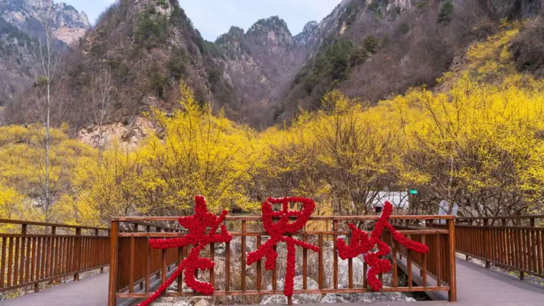 寵粉天花板！老界嶺景區(qū)3月、4月面向全國游客免門票！