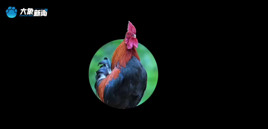 帶著媽媽去旅行丨好兒子·杜志偉