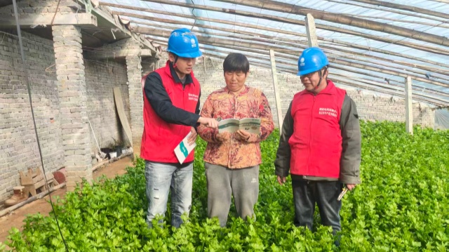 國(guó)網(wǎng)上蔡縣供電公司:全力護(hù)航春耕生產(chǎn)用電安全