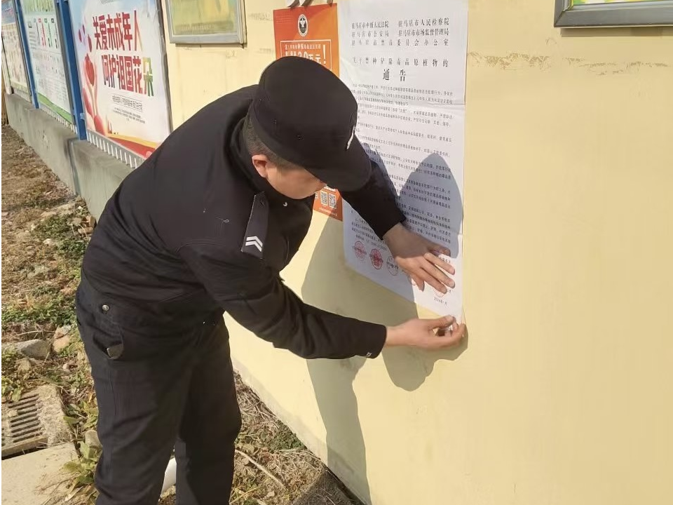 示范區(qū)：禁種鏟毒不松懈 全民禁毒護平安