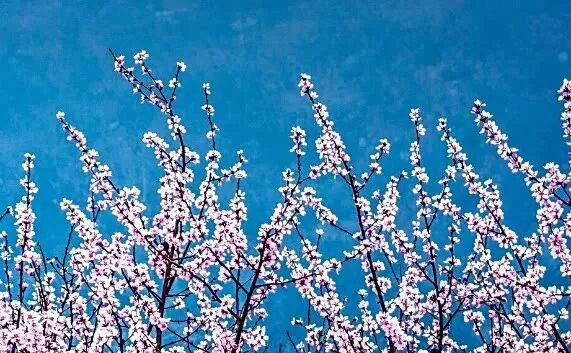 河南這些景區(qū)，向所有女士免門票→