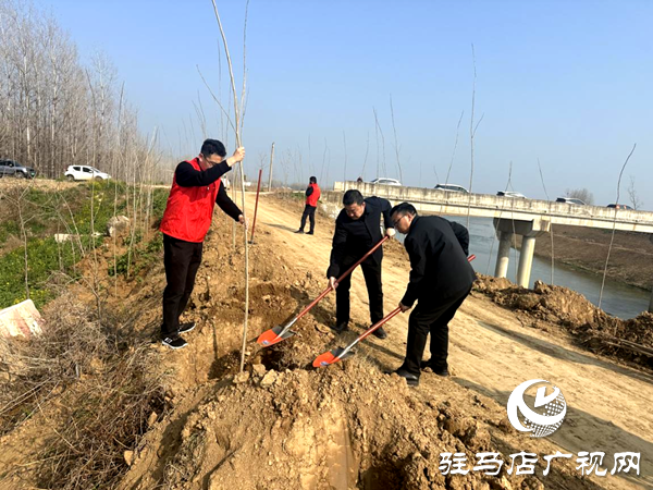 平輿縣射橋鎮(zhèn)：植此青綠繪春色 共筑生態(tài)新家園