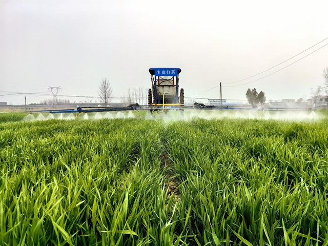 驛城區(qū)水屯鎮(zhèn)：搶抓農(nóng)時春管忙 小麥“喝”上返青水