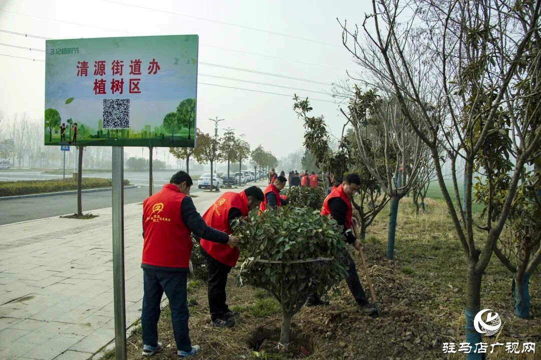 正陽縣清源街道：志愿紅輝映高速路?全員攜手植新綠
