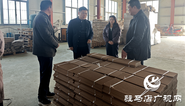 平輿縣十字路鄉(xiāng)：深入走訪察實(shí)情，凝心聚力促發(fā)展