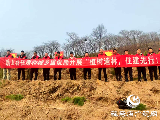 確山縣住建局：春植一棵樹 城添一片綠