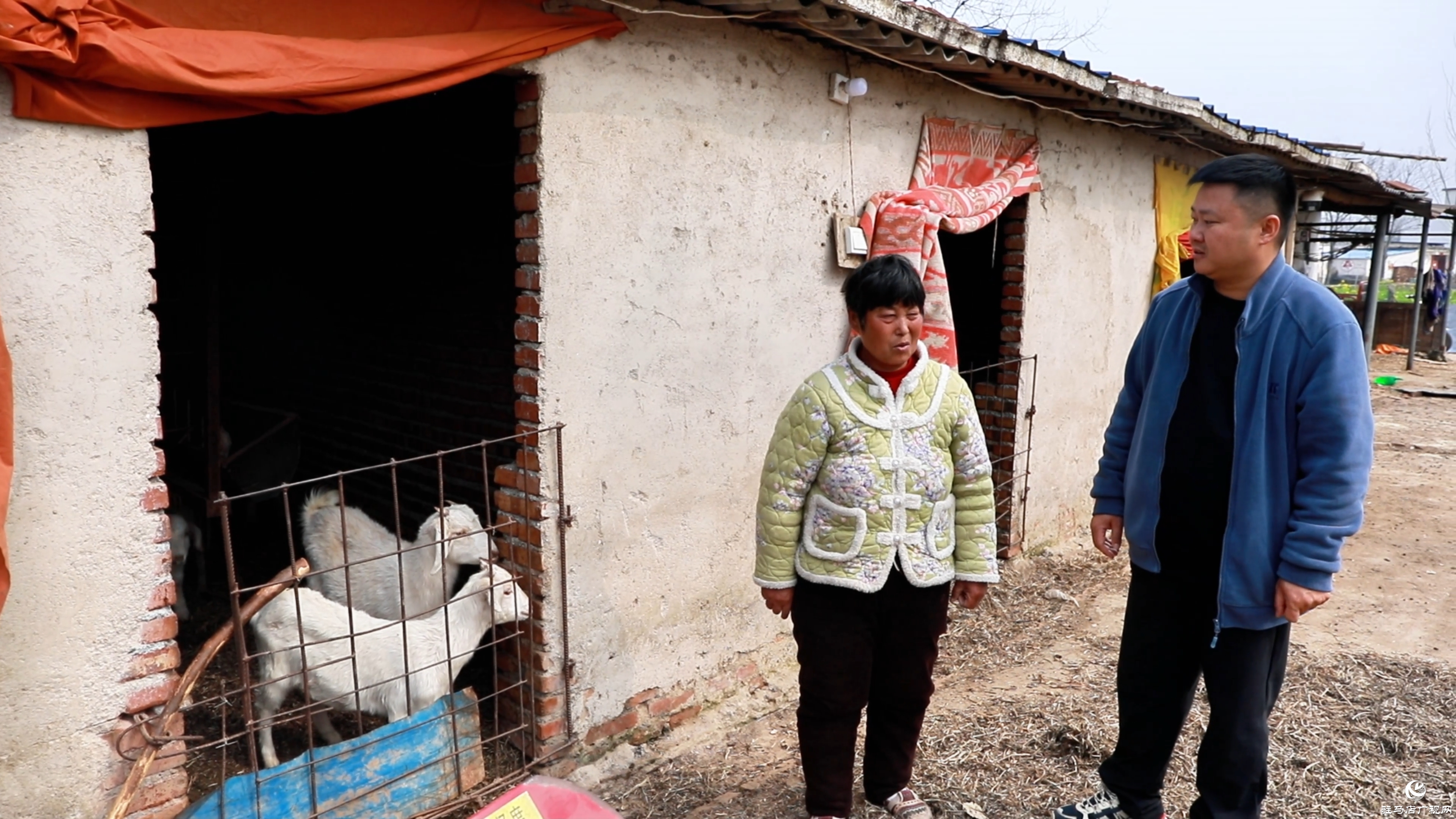 駐村第一書記鄭?。阂I(lǐng)農(nóng)產(chǎn)品“花式”出村 蹚出鄉(xiāng)村振興“遍地開花”路