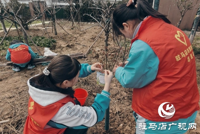 駐馬店市第四中學開展植樹節(jié)志愿服務活動