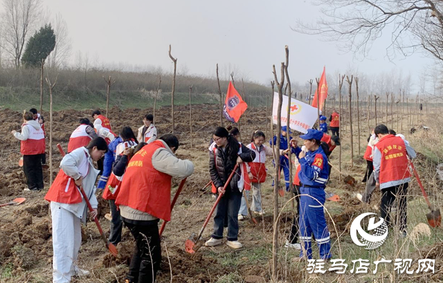 驛城區(qū)：揮鍬培土播新綠 志愿精神扎根“驛城好人林”