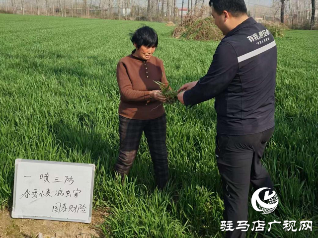 中國(guó)人壽財(cái)險(xiǎn)駐馬店市中心支公司開(kāi)展“3·15”消費(fèi)者權(quán)益保護(hù)系列宣教活動(dòng)