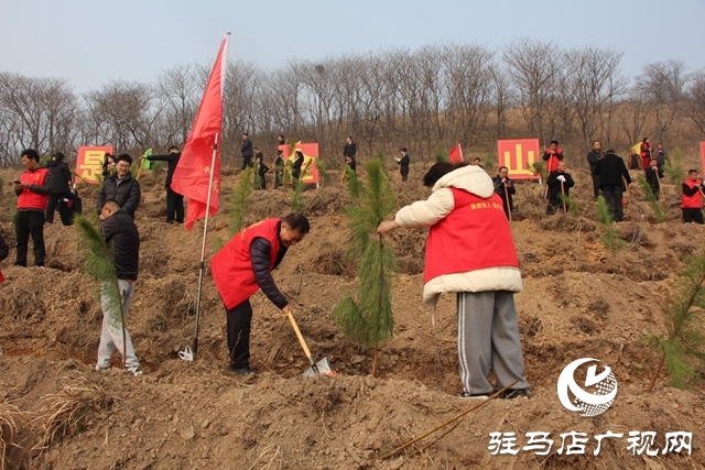 確山縣：春潮涌動植新綠