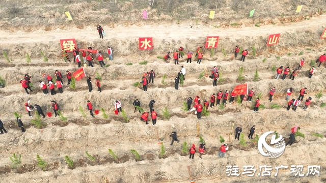 確山縣：春潮涌動植新綠
