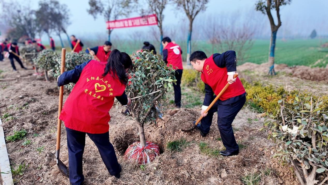 正陽縣檢察院：植樹添新綠 履職護(hù)青山