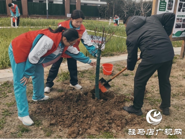 駐馬店市第四中學開展植樹節(jié)志愿服務活動