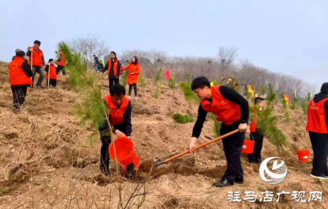 確山：又是一年植樹時