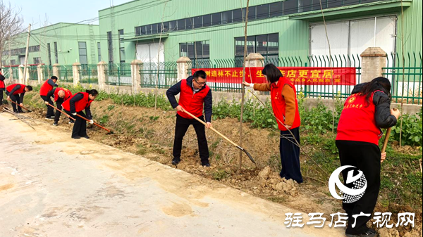 平輿縣辛店鄉(xiāng)：義務(wù)植樹(shù)護(hù)生態(tài) 共建宜居美家園