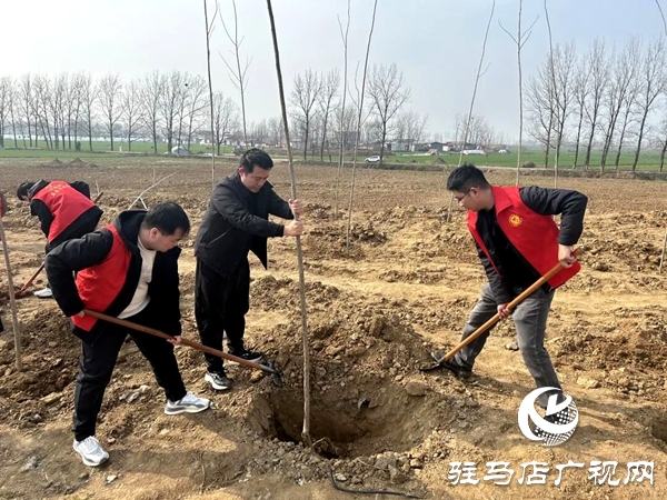平輿縣總工會(huì)組織志愿者到大陳洪河橋開展春季植樹志愿服務(wù)活動(dòng)