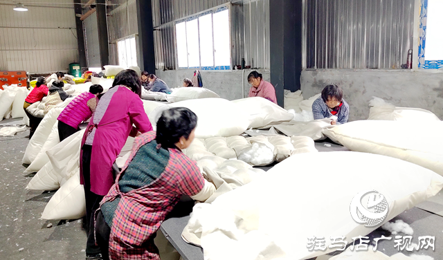 新蔡縣黃樓鎮(zhèn):引鳳還巢興產(chǎn)業(yè) 返鄉(xiāng)創(chuàng)業(yè)助振興