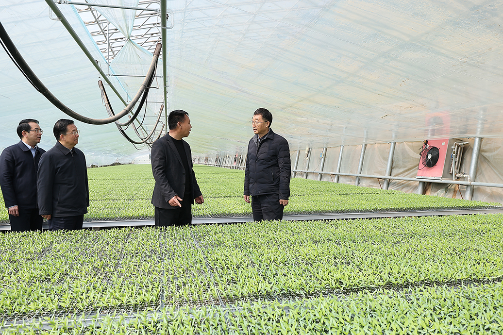 劉寧到內(nèi)黃縣安陽縣調(diào)研推動工作時強(qiáng)調(diào) 毫不放松抓好糧食生產(chǎn) 全力夯實(shí)夏糧豐收基礎(chǔ)