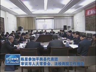 陳星參加平輿代表團(tuán)審議市人大常委會(huì)、法檢兩院工作報(bào)